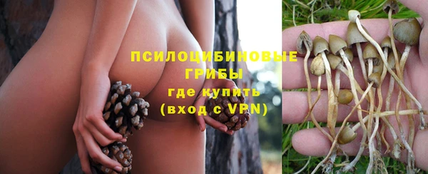 героин Бородино