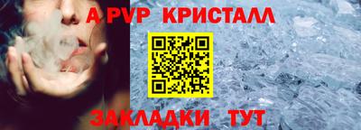 шишки Изобильный