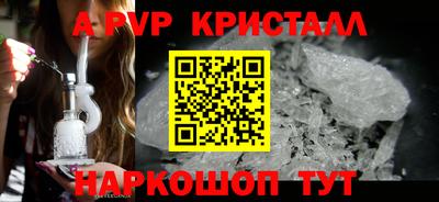 шишки Изобильный