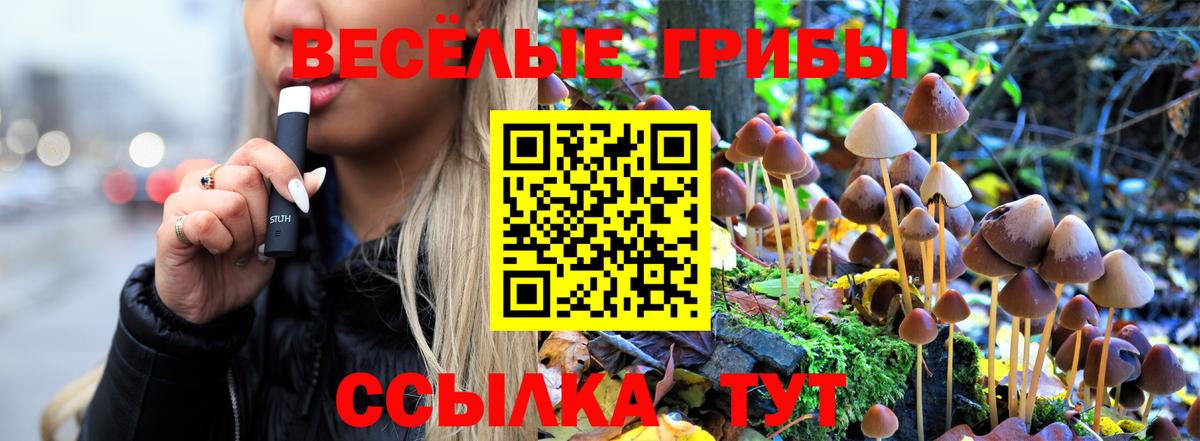 Псилоцибиновые грибы Psilocybe  Вход с VPN  Медногорск  Галлюциногенные грибы мицелий 