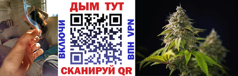 где можно купить   Медногорск  Бошки марихуана OG Kush 